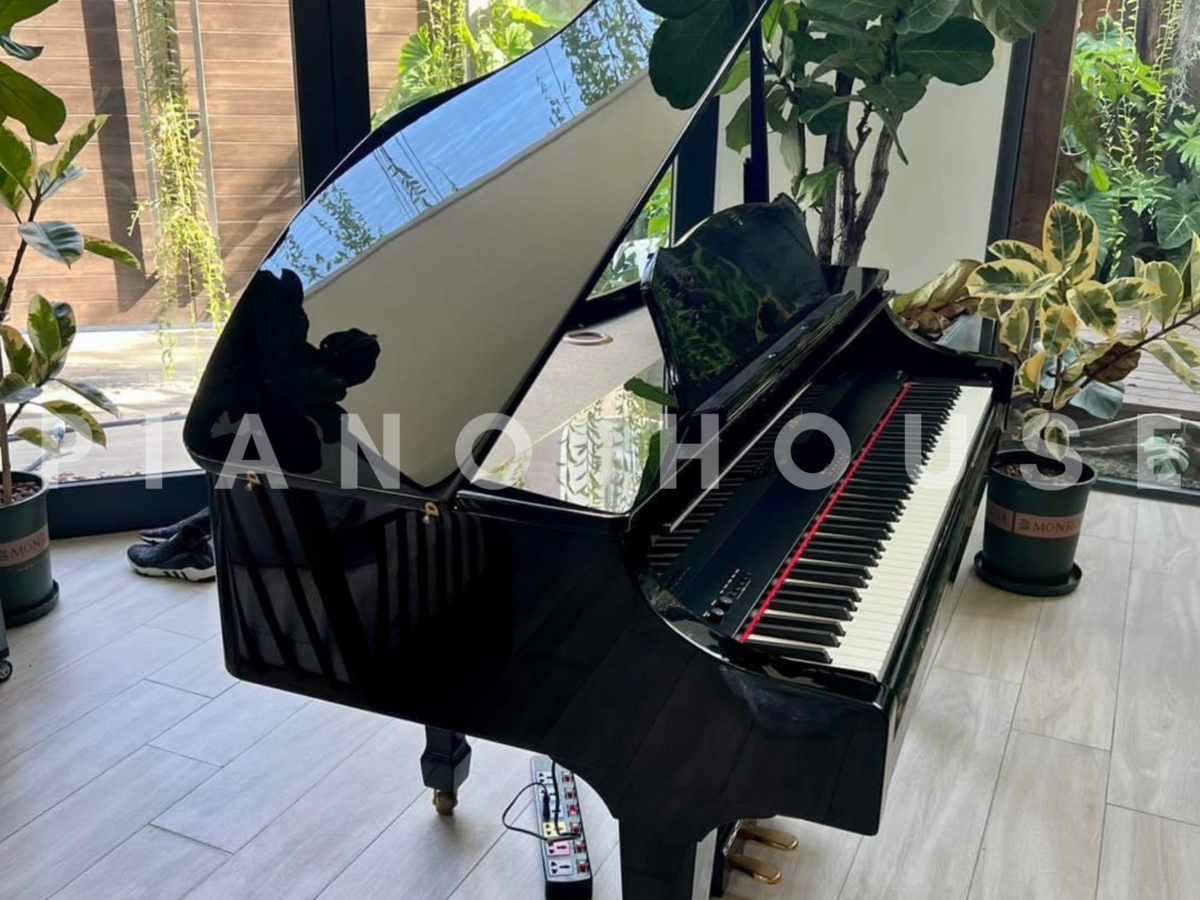 Cận cảnh ROLAND RG-3F PE tại Piano House